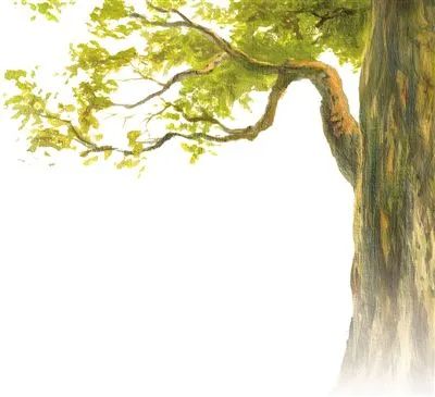 �Ř�(sh��) ���˸���(y��n)��ı��o(h��)