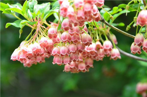 ����ʡ���_(k��i)����(gu��)�׶���ɲľ��x(ch��ng)�����ع�����(hu��)...