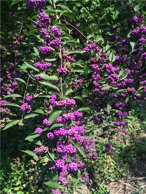 ���16�������o(h��)�ˡ��Ř�(sh��)���������370...