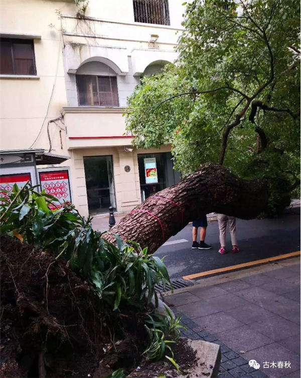 �_�L�^����������ľ����ָ��