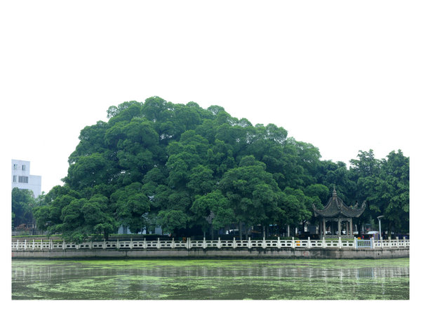 �o��С�~��